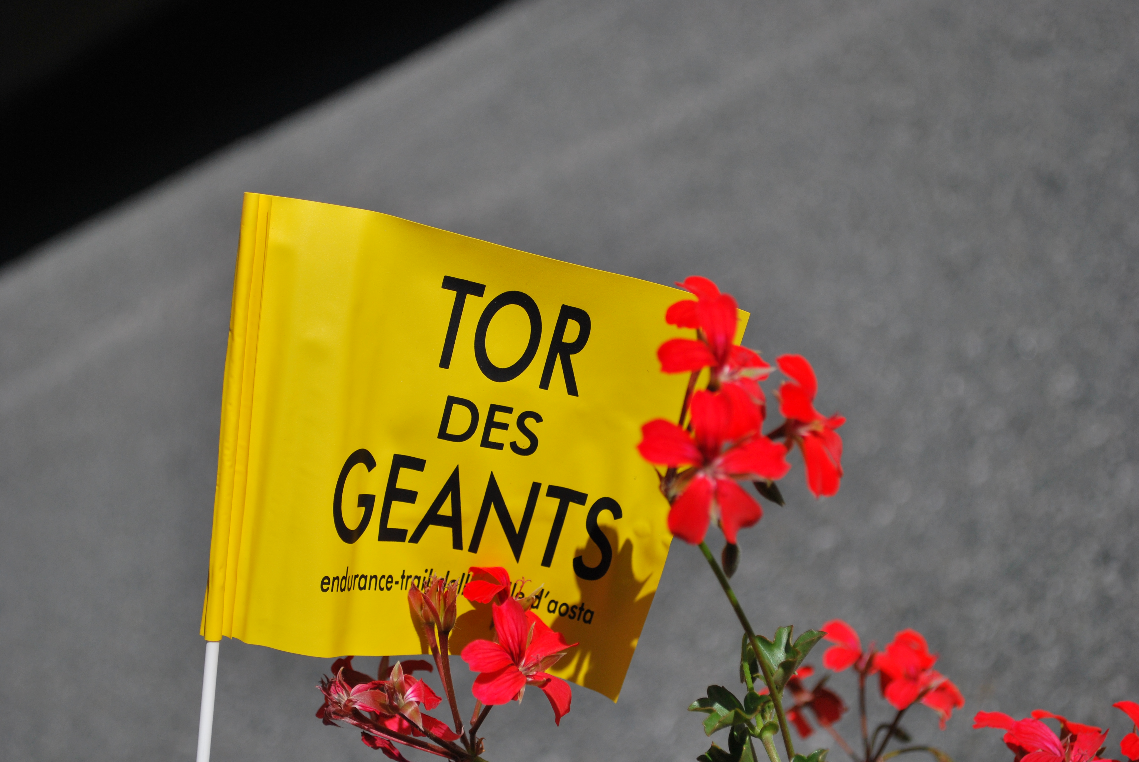 RFID al Tor Des Géants 2016