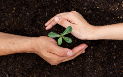 Nuestro bosque Global Tag